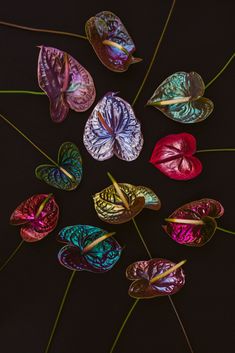 Metallic, tie-dye-looking anthurium flowers Metallic Flowers, Space Flowers, Jewel Aesthetic, Jewel Tone Aesthetic, Gold Anthurium, Iridescent Flowers, Painted Anthurium