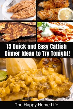 different types of food are shown with the words, 15 quick and easy catfish dinner ideas to try tonight