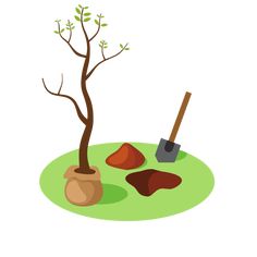 a small tree and some rocks on the ground with a shovel in it, next to a