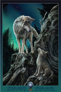 a wolf standing on top of a tree stump next to another wolf in the woods