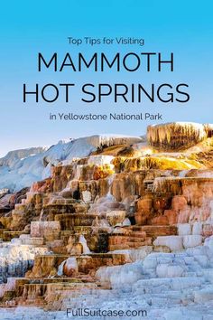 mammoth hot springs in yellowstone national park with text overlaying top tips for visiting mammoth hot springs