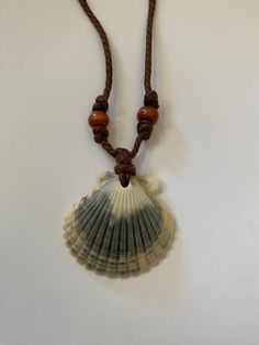 a seashell is hanging on a brown string