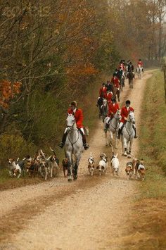 a group of people riding on the backs of horses and dogs down a dirt road