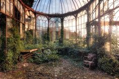 the inside of an abandoned building with ivy growing on it's walls and windows