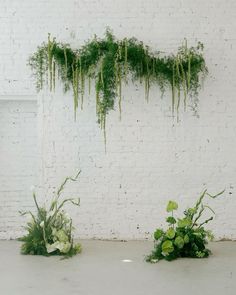 three plants are hanging on the wall in front of a white brick wall with green foliage