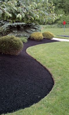 black mulch in the middle of a lawn with shrubs and trees around it,