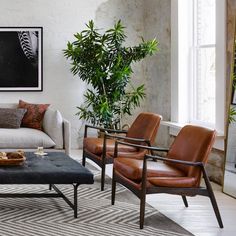 a living room filled with furniture and plants