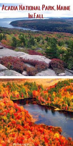 Discover the Things to Do In Acadia National Park In Fall Taos New Mexico, Skyline Drive, Nature Museum, Catskill Mountains, Ozark Mountains, Hiking Spots