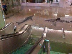 an escalator is flooded with water in a shopping mall