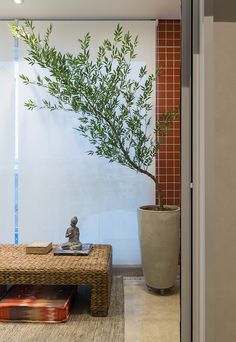 a living room with a plant in the corner and a small table next to it