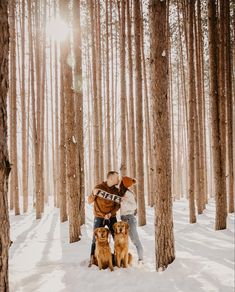 two people hugging their dogs in the snow