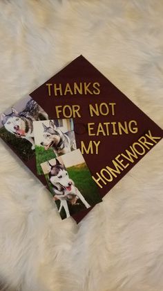 Grad Cap Ideas Dog, Deadpool Graduation Cap, Wrestling Graduation Cap Ideas, Graduation Cap Designs Horror, Graduation Cap Designs Dog, Vet Tech Graduation Cap Ideas, Vet School Graduation Cap