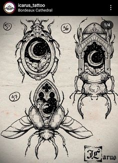 some drawings of bugs on paper