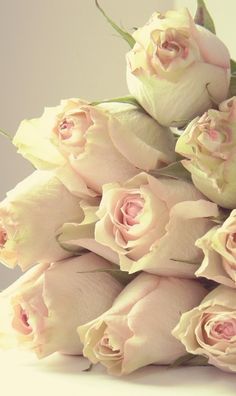 a bunch of flowers that are sitting in the middle of each other on a table