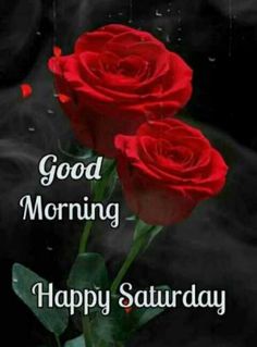 two red roses sitting on top of a table next to the words good morning happy saturday