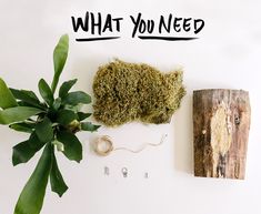 a plant next to a piece of wood with the words what you need on it