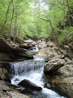 a small waterfall running through a forest filled with rocks