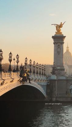 an image of a bridge that is going over the water and has statues on it