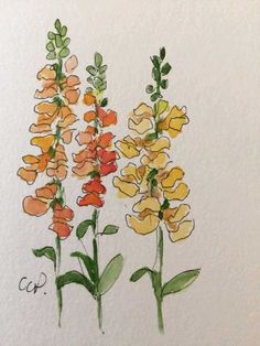 three different colored flowers are shown in this drawing