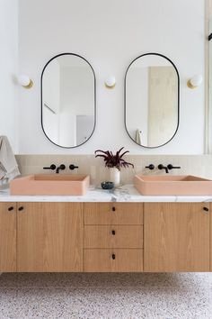 two sinks in a bathroom with mirrors above them and a plant on the counter top