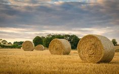 hay bales in an open field under a cloudy sky