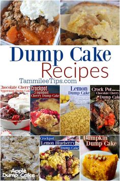 dump cake recipes with text overlay that reads dump cake recipes