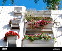 an apartment building with flowers on the balconies - stock image