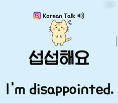 the korean language for i'm disappointed with an image of a cat on it