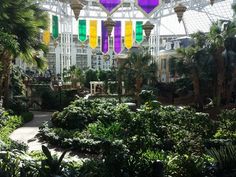 the inside of a building with lots of plants and trees