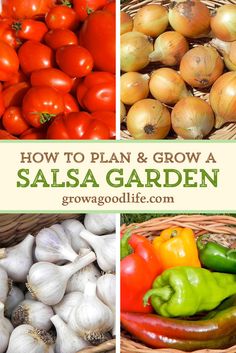 how to plant a salsa garden in your own backyard or yard - grow tomatoes, peppers, onions, and garlic