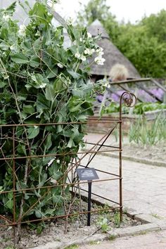 an old iron fence with vines and flowers growing out of it, in front of a house