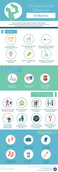 Worried about if your baby is developing and meeting milestones? This infographic will help you evaluate if your child is reaching the typical developmental milestones for their age based on cognition, communication milestones, social emotional behavior and physical ability. #meetingmilestones #developmentalmilestones #18months #developmentaldelays #baby #toddlermilestones Body Name, Toddler Milestones, Toddler Schedule