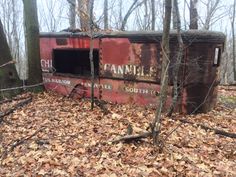 an old rusted out train car sitting in the middle of some leaf covered ground