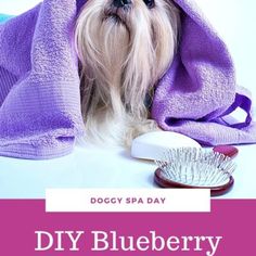 a small dog under a purple towel next to a hair brush and comb with the words doggy spa day on it