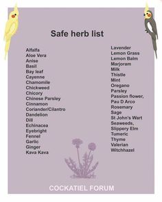 a poster with some birds on it and the words safe herb list written in english