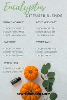 Eucalyptus diffuser blends.  #essentialoil #diffuser Eucalyptus Essential Oil Uses, Doterra Diffuser Blends, Essential Oil Combinations, Doterra Essential Oils Recipes, Essential Oils Guide