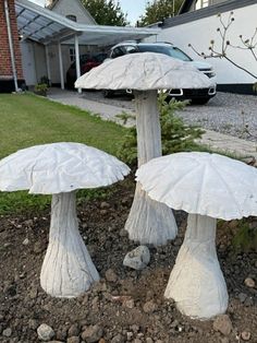 two white mushrooms sitting on top of a pile of dirt next to a car parked in front of a house