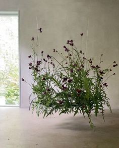 a vase filled with purple flowers sitting on top of a white floor next to a window