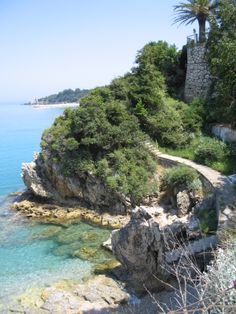 the path to the beach is surrounded by trees and rocks, along with clear blue water