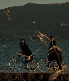 two people riding bikes next to the ocean with seagulls flying around them