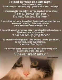 RIP Pet Quotes Cat, Losing A Pet Quotes, Pet Craft, Memory Quotes, Cat Quote, Loft Wall