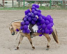 a woman riding on the back of a brown horse covered in purple balloons