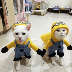 two cats dressed up in costumes with caption that says best cat costumes ever?