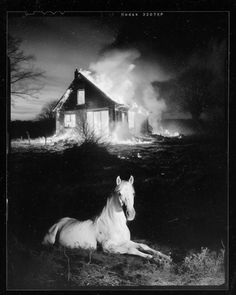 a white horse laying in front of a house on fire