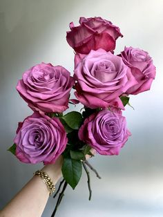 a hand holding a bouquet of purple roses