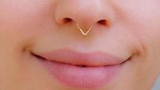 a woman's nose with a gold nose ring on it and a small triangle shaped nose pin in the middle