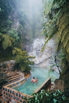 two people swimming in a pool surrounded by trees and plants on a foggy day