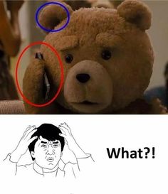 a brown teddy bear with two circles around it's face and the caption what?