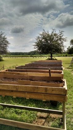 a row of wooden benches sitting on top of a lush green field under a cloudy sky