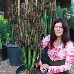 a woman sitting in front of some cactus plants